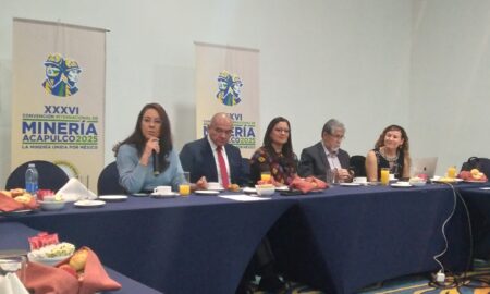 Frenados tres proyectos mineros de "gran envergadura" en México: Rubén del Pozo