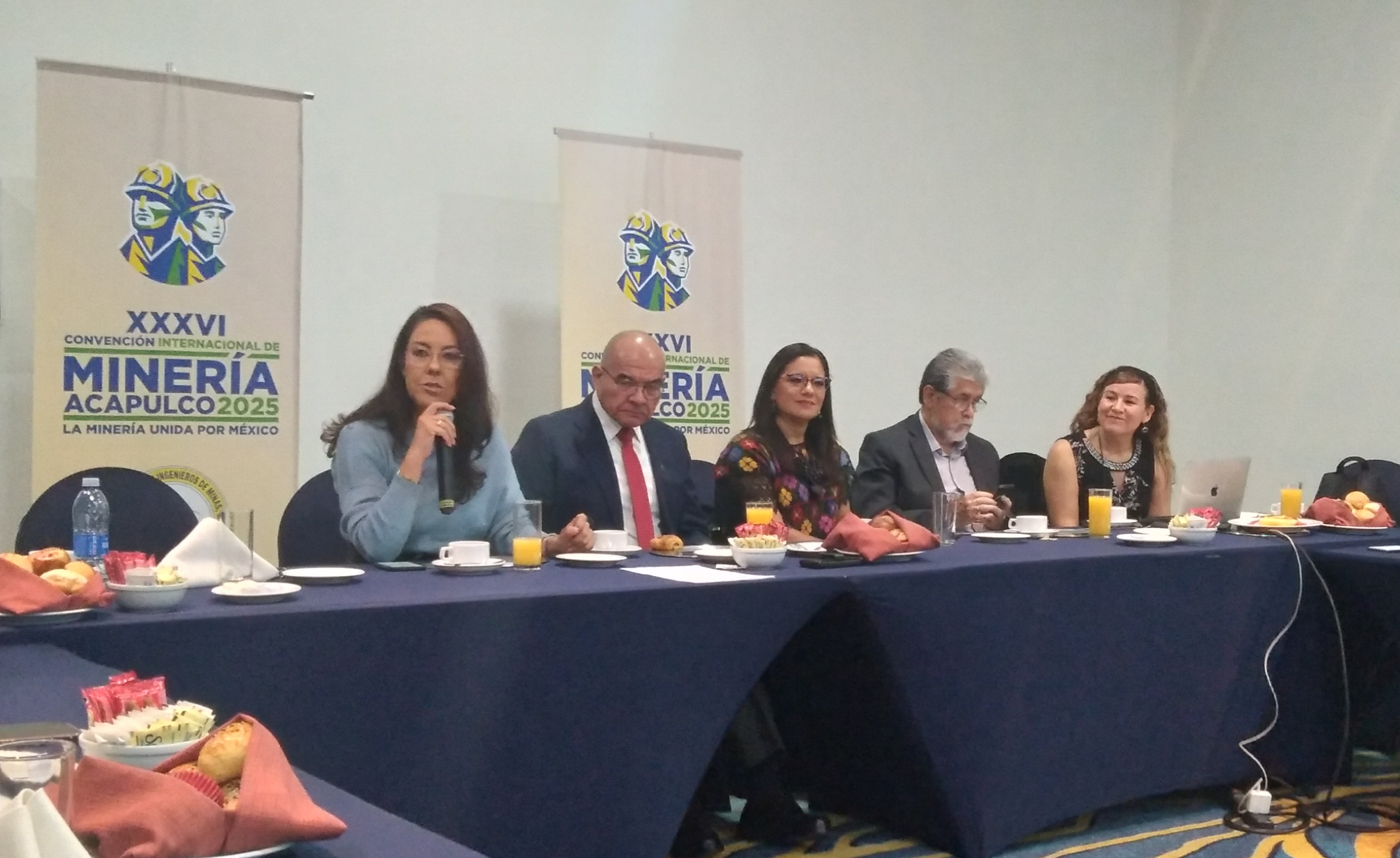 Frenados tres proyectos mineros de "gran envergadura" en México: Rubén del Pozo