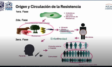 En 2050 podrían morir 10 millones de personas al año por infecciones resistentes a los antibióticos