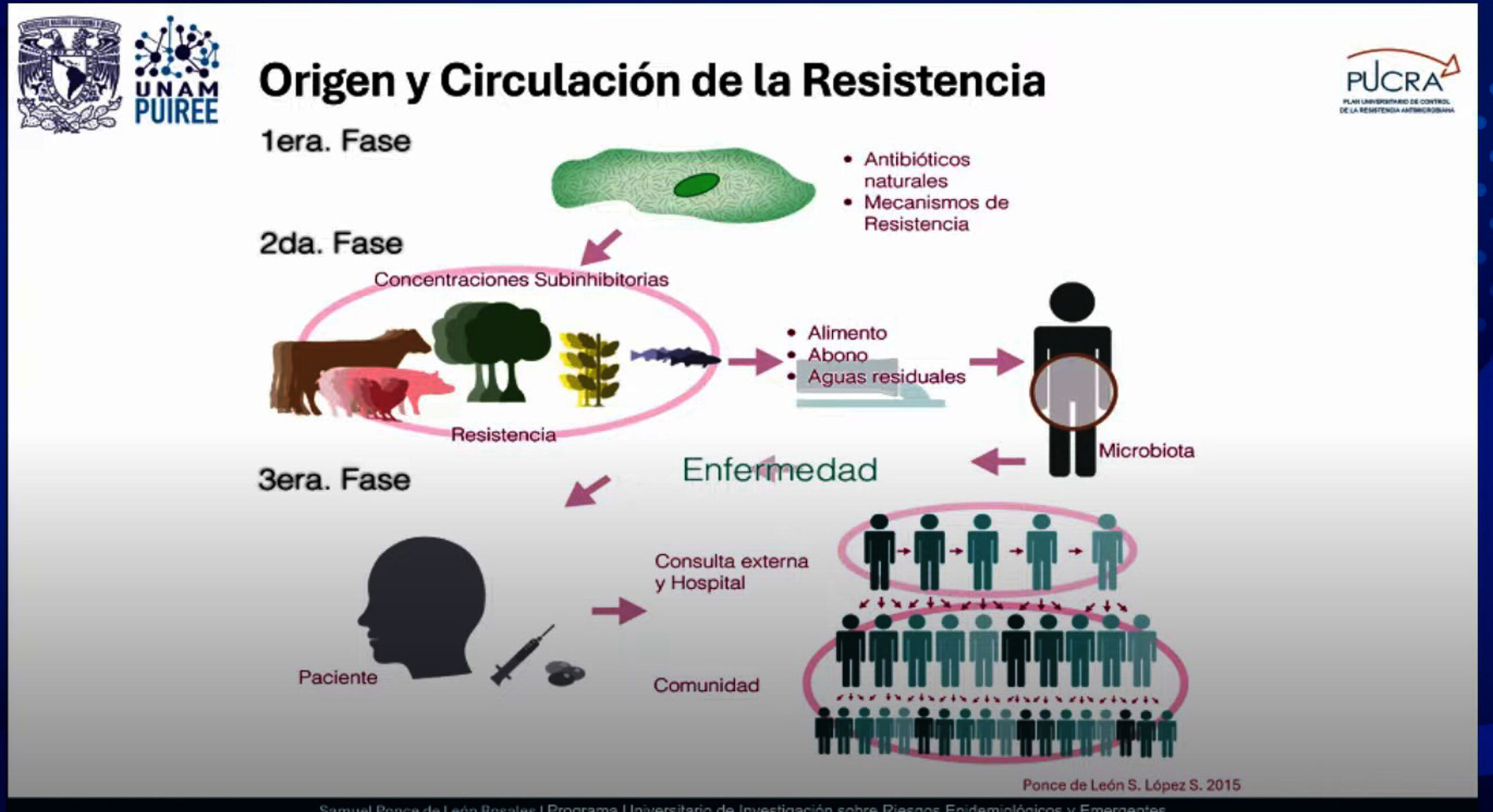 En 2050 podrían morir 10 millones de personas al año por infecciones resistentes a los antibióticos