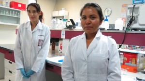 CREA IPN BEBIDA ENERGÉTICA (1)