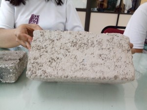 CREAN POLITÉCNICOS TABICÓN DE ALTA RESISTENCIA (1)