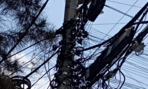 Cables telaraña