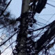 Cables telaraña