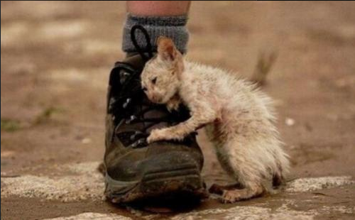 Captura de pantalla 2017-12-25 a las 3.24.07 p.m.