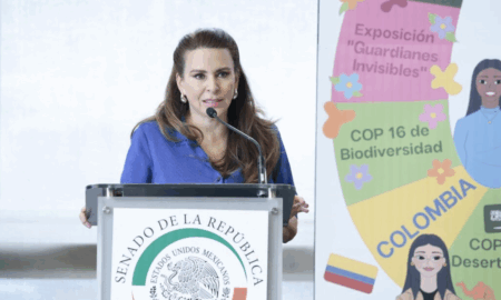 Asociación civil Creadoras de Futuro celebra su primer aniversario en el Senado de la República