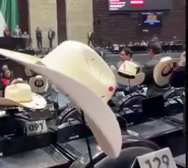 Sombrero foto captura