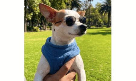 Este domingo el día será soleado con probabilidad de lluvia por la tarde