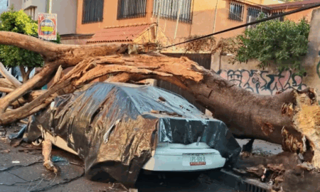 SE activaron los protocolos de seguridad ante sismo
