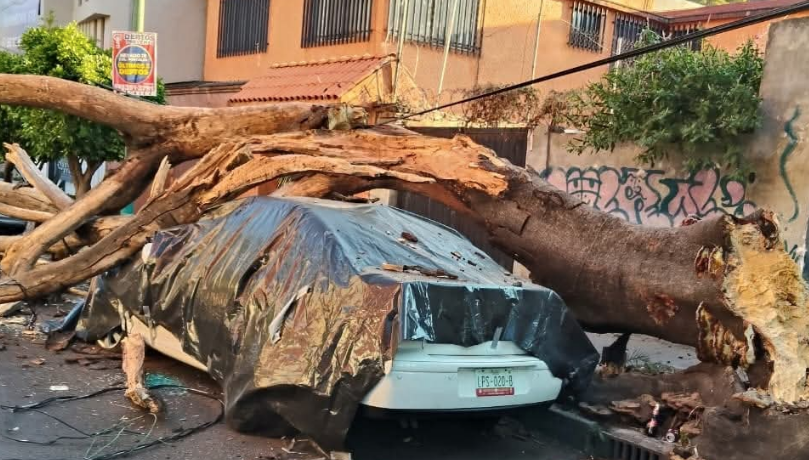 SE activaron los protocolos de seguridad ante sismo