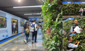 Muro verde en el Metro