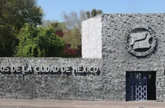CDHCDMX