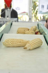 DISEÑAN POLITÉCNICOS CERNIDORA PARA OPTIMIZAR PROCESO DE POSCOSECHA DEL MAÍZ (5)