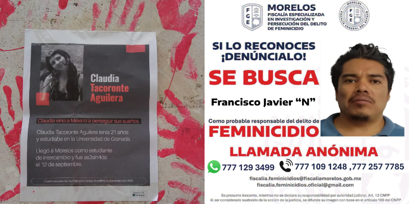 Tacoronte/ bucan al trompas