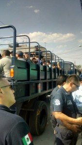 WhatsApp Image 2019-05-28 at 8.00.42 PM