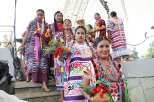 WhatsApp Image 2019-07-22 at 5.10.12 PM