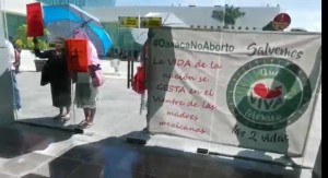 WhatsApp Image 2019-09-25 at 2.18.35 PM (1)