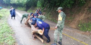 WhatsApp Image 2019-09-29 at 2.18.51 PM