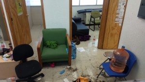 WhatsApp Image 2020-02-26 at 12.58.36 PM