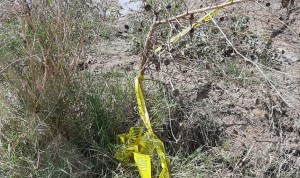 WhatsApp Image 2020-04-12 at 5.20.51 PM