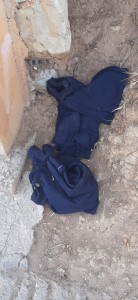 WhatsApp Image 2020-04-12 at 5.20.52 PM (1)