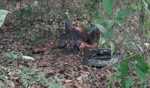 WhatsApp Image 2020-04-14 at 6.06.20 PM