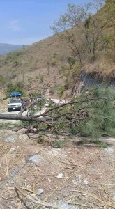 WhatsApp Image 2020-04-17 at 4.49.23 PM (1)