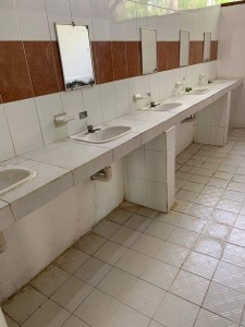 WhatsApp Image 2020-06-11 at 12.03.15 PM