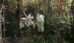 WhatsApp Image 2020-06-14 at 4.34.54 PM