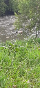 WhatsApp Image 2020-07-05 at 4.15.54 PM