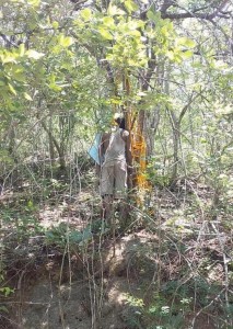 WhatsApp Image 2020-07-09 at 6.57.02 PM