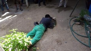 WhatsApp Image 2020-07-13 at 5.03.16 PM