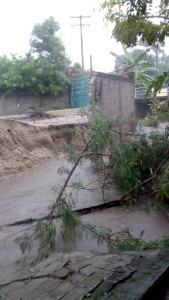 WhatsApp Image 2020-08-26 at 4.44.54 PM