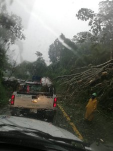 WhatsApp Image 2020-08-26 at 4.44.54 PM (2)