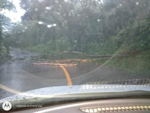 WhatsApp Image 2020-08-26 at 4.44.54 PM (4)