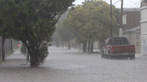 WhatsApp Image 2020-09-01 at 4.20.04 PM (1)