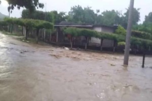 WhatsApp Image 2020-09-01 at 4.20.04 PM