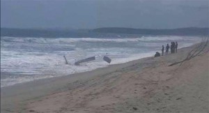 WhatsApp Image 2020-10-01 at 4.30.33 PM