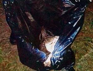 WhatsApp Image 2020-10-05 at 5.30.06 PM (1)