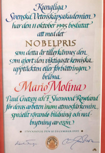 WhatsApp Image 2020-10-07 at 5.26.15 PM (1)