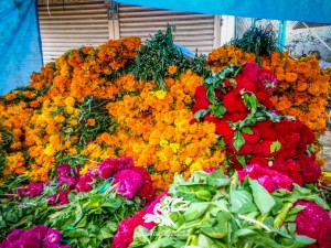 WhatsApp Image 2020-10-13 at 5.21.10 PM (1)