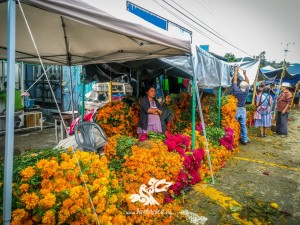 WhatsApp Image 2020-10-13 at 5.21.10 PM