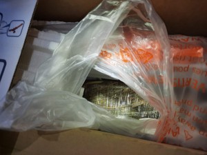 WhatsApp Image 2020-10-15 at 5.10.43 PM