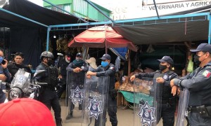 WhatsApp Image 2020-10-20 at 5.05.56 PM