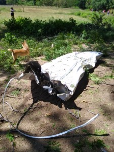 WhatsApp Image 2020-10-31 at 5.57.12 PM (2)