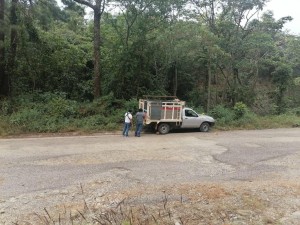 WhatsApp Image 2020-12-11 at 5.12.00 PM