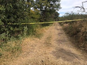 WhatsApp Image 2020-12-19 at 4.25.43 PM (1)