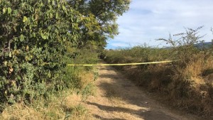 WhatsApp Image 2020-12-19 at 4.25.43 PM