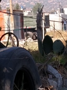 WhatsApp Image 2020-12-29 at 3.45.37 PM (1)