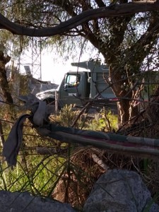 WhatsApp Image 2020-12-29 at 3.50.02 PM (1)